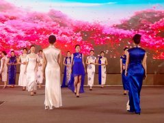 重慶第五屆職業(yè)教育活動周啟動，茶藝、扎染、3D打印與禮儀文化共展職教風(fēng)采